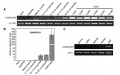 Thumbnail for version as of 14:10, 16 March 2013
