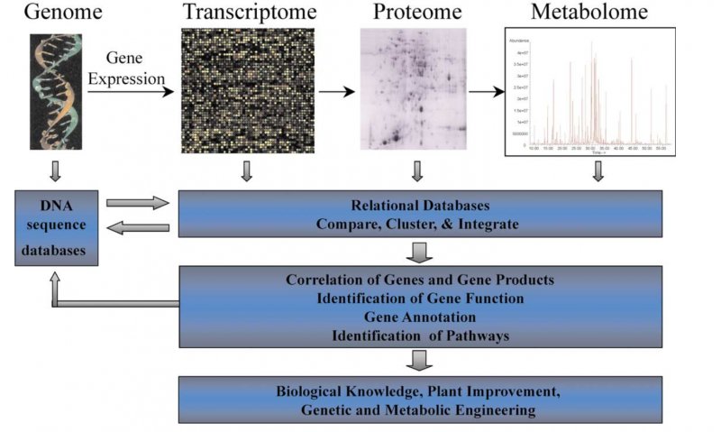 File:IC4R-Metabolomics-overview-1.png