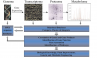 IC4R-Metabolomics-overview-1.png