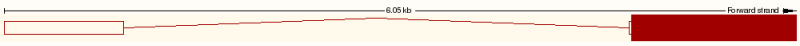 File:TranscriptImage.png