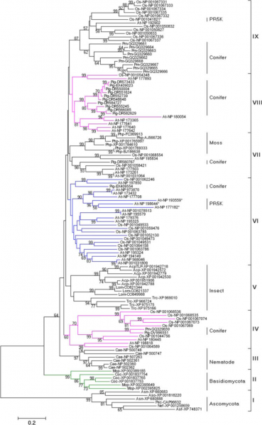 File:Figure.png