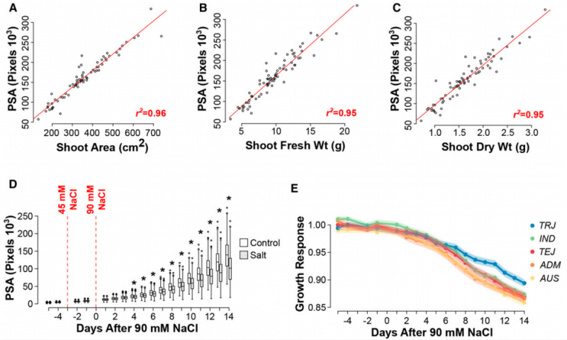 File:IC4R008-Phenomics-2015-26111541-f1.png