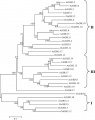 Thumbnail for version as of 15:43, 18 February 2015