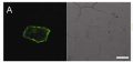 Thumbnail for version as of 02:52, 16 June 2014