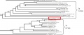 Thumbnail for version as of 09:32, 9 June 2014