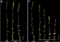 Thumbnail for version as of 07:38, 26 May 2014
