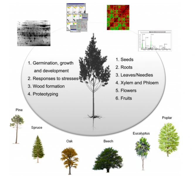 File:IC4R-Proteomics-overview-2.png