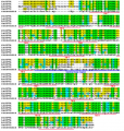 Thumbnail for version as of 05:53, 12 June 2016