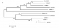 Thumbnail for version as of 02:02, 11 May 2014