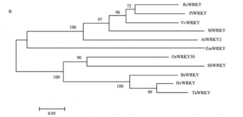 File:Fig.10.jpg