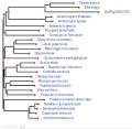 Thumbnail for version as of 05:41, 4 March 2015