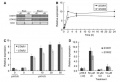 Thumbnail for version as of 11:10, 4 June 2014