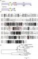 Thumbnail for version as of 16:05, 19 May 2014