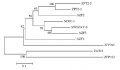 Thumbnail for version as of 04:19, 30 December 2014