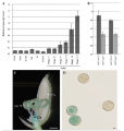 Thumbnail for version as of 05:12, 4 June 2014