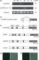 Thumbnail for version as of 02:27, 18 May 2014