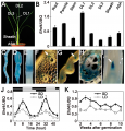 Thumbnail for version as of 03:10, 10 June 2014