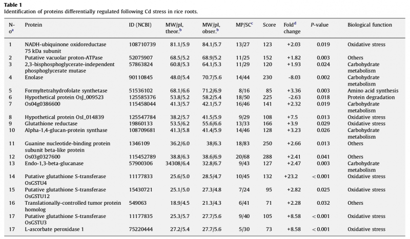 File:IC4R007-Proteomic-2010-19853963-4.png