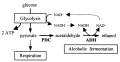 Thumbnail for version as of 05:37, 30 May 2014