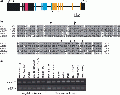 Thumbnail for version as of 14:17, 6 June 2014
