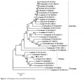 Thumbnail for version as of 16:03, 22 May 2014