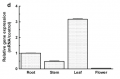 Thumbnail for version as of 07:52, 17 May 2014