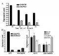 Thumbnail for version as of 06:04, 6 June 2014