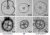 Fig.6 Light microscopic images of cross-sectioned RCc3:OsNAC5, GOS2:OsNAC5 and NT roots (10 cm down from the ground surface level)during the panicle heading stage. The position of the metaxylem vessel (Me) and aerenchyma (Ae) are indicated. Scale bars, 500 lm in the upper panels and 100 lm in the lower panels.(From reference [6]).