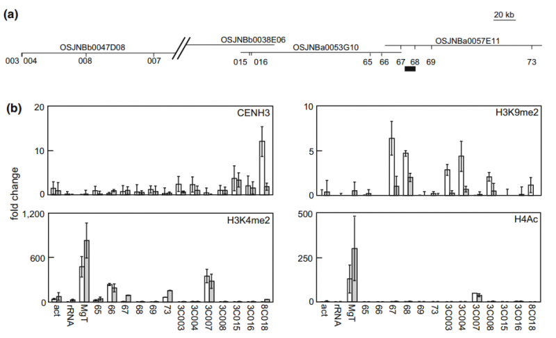 File:IC4R011-Epigenomic-2015-11001567-f3.png