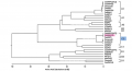 Thumbnail for version as of 08:24, 6 June 2014
