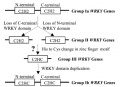 Thumbnail for version as of 11:49, 7 June 2014