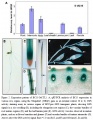 Thumbnail for version as of 14:10, 3 June 2014