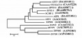Thumbnail for version as of 03:33, 2 January 2015