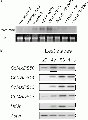 Thumbnail for version as of 03:42, 24 May 2014