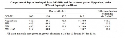 Table a.jpg