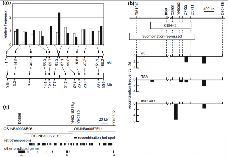 File:IC4R011-Epigenomic-2015-11001567-f1.png