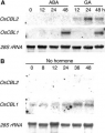 Thumbnail for version as of 17:17, 31 May 2014