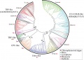 Thumbnail for version as of 03:19, 30 May 2014