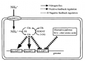 Thumbnail for version as of 03:48, 10 June 2014
