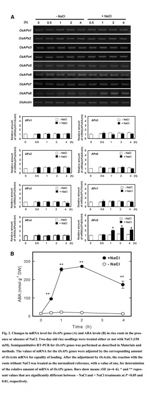 Figure 2. Expression(from reference) [2].