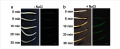 Thumbnail for version as of 12:51, 7 June 2014