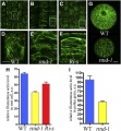 Thumbnail for version as of 14:42, 6 June 2014