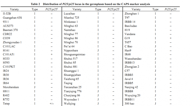 File:Distribution of pi25 1.png