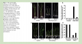 Thumbnail for version as of 16:33, 8 June 2014