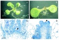 Thumbnail for version as of 16:34, 6 June 2014