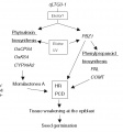 Thumbnail for version as of 09:08, 4 June 2014