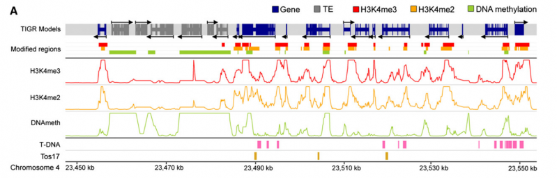 File:IC4R001-Epigenomic-2008-18263775-1.png