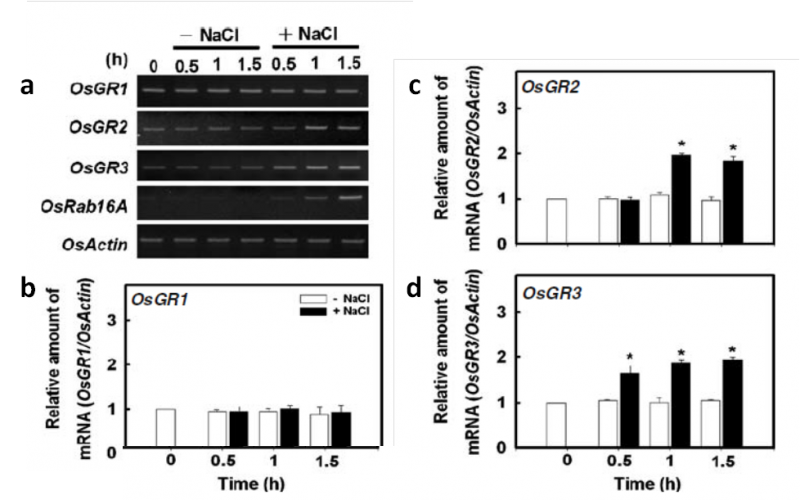 File:OsGR2 Fig.02.png