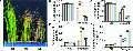 Thumbnail for version as of 07:30, 24 December 2014
