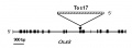 Thumbnail for version as of 15:57, 4 June 2014